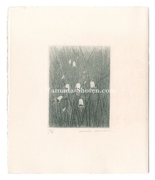 つりがねにんじん　Japanese Lady Bell