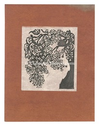 ライラック　Lilac