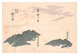 『槻の木』表紙絵　Cover art for 'Tsuki no ki'