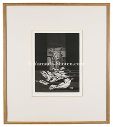 白い落葉　II　White Fallen Leaves II