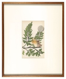 living things より　from 'living things'