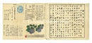 詩と版画 建艦献金作品集成 大東亜の花ごよみ（三）　Shi to Hanga: Floral Calendar of the Greater East Asia (3)