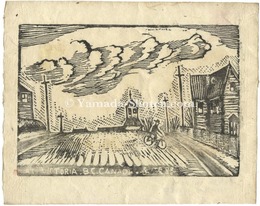 春の坂路　アラスカの想い出　Spring Hill