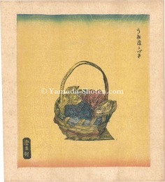 うみほゝづき　Umi-hozuki