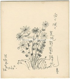 自筆色紙　白く咲く荒地野菊は強き花　Shikishi