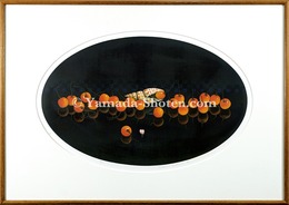 さくらんぼ　21　Cherry 21