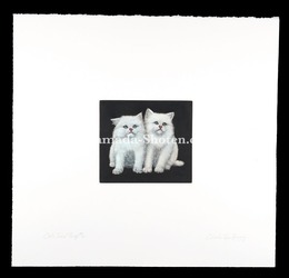 ツインズ　Twins