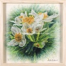 The Silent Drama-Tateyama #01　The Silent Drama-Tateyama #01