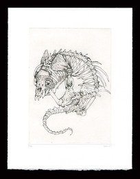 Thrasylle. Planche III