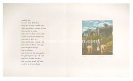 『トラベラーズ・ジョイ』より　くずれた土　Traveller's Joy: Crumbly Clay