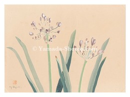 萬華画譜　あかばん　Picture Album of Various Flowers / Akaban