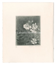 のいばら　Japanese Rose