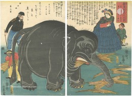 新渡舶来之大象　Great Elephant Recently Imported from Overseas