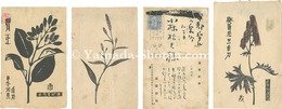 自筆葉書　Postcards