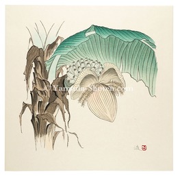 実芭蕉　Banana