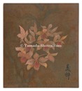 作品　Title unknown