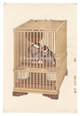 文鳥　Buncho