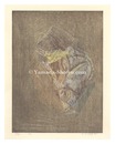 作品　Title unknown