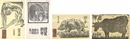 木版賀状　Greeting Cards from Muto Kanichi to Kitazawa Shuji