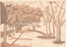 風景　Landscape