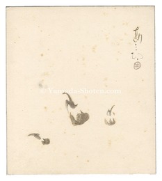 自筆色紙　Shikishi