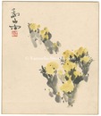 自筆色紙 福寿草（仮題）　Adonis Plant (tentative title)