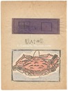 蟹　Crab