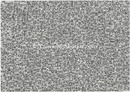無題　Untitled