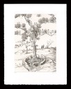 Thrasylle. Planche X