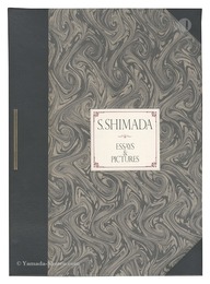 Essays & Pictures