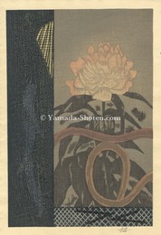 牡丹　Peony