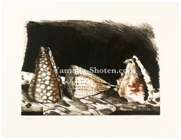 TROIS COQUILLAGES