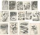 自筆画稿　Sketches