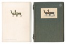 限定版 山からの絵本　Picture Book from the Mountain, Limited edition