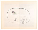 自筆画　河童　Kappa