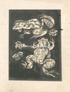 蛙　Frogs