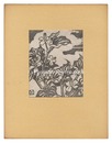 ドクダミ　Chameleon Plant