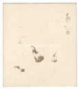 自筆色紙　Shikishi