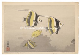 ハワイの魚A　Hawaiian Fish A