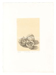 胡桃（仮題）　Walnuts (tentative title)