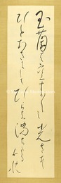 自筆歌幅　玉蘭　Scroll : Magnolia flower