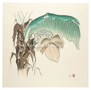 実芭蕉　Banana