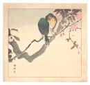 花鳥画　Birds and Flower