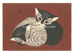 猫　Cats