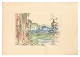 日本大観　(16) 奈良公園　Compendium of Japan / No. 16: Nara Park