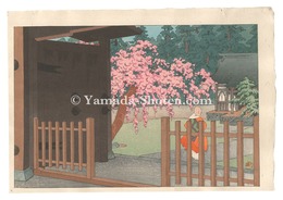 春の山門　Mountain Gate in Spring