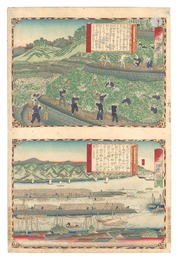 大日本物産図会　紀伊国蜜柑山畑之図 同北港ヨリ輸出之図　Famous Products of Japan / Kii Province: Mikan Mountain Fields; Shipping Mikan from the North Port