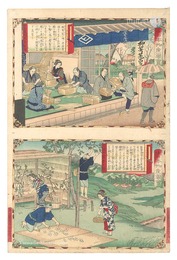 大日本物産図会　但馬国柳行李製図 同国野蚕養之図　Famous Products of Japan / Tajima Province: Making Yanagi-gori; Wild Silkworm Cultivation