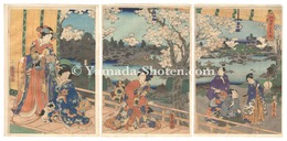 任好雪月花ノ内　Snow, Moon and Flowers