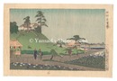 堀切花菖蒲　The Iris Garden at Horikiri